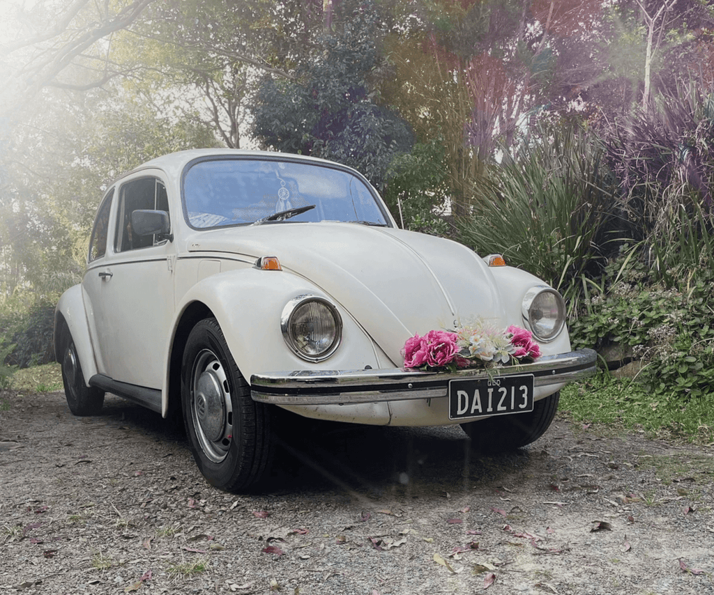 Car Hire