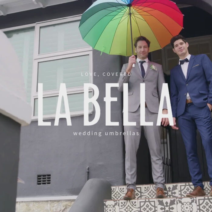 2 grooms holding hands under rainbow umbrella on steps stairs video square
