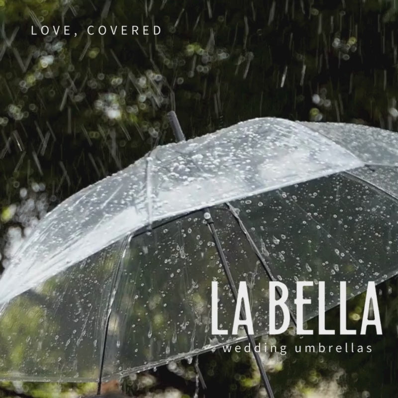 clear dome umbrella in rain video square